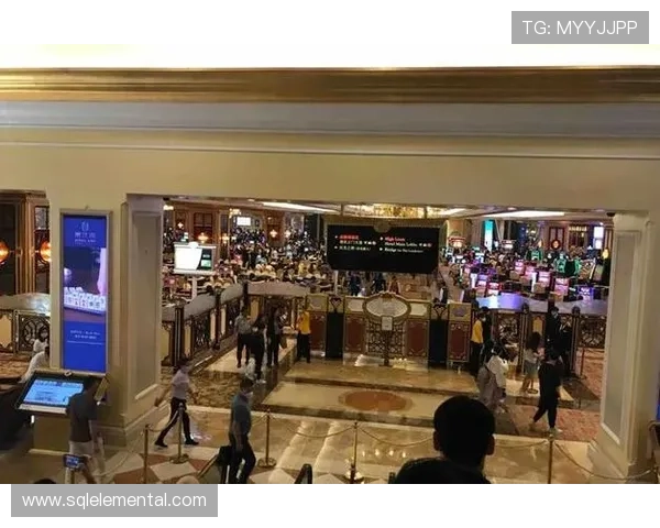 全面剖析澳门百家乐的基本规则与玩法技巧新手必读的澳门百家乐规则详解