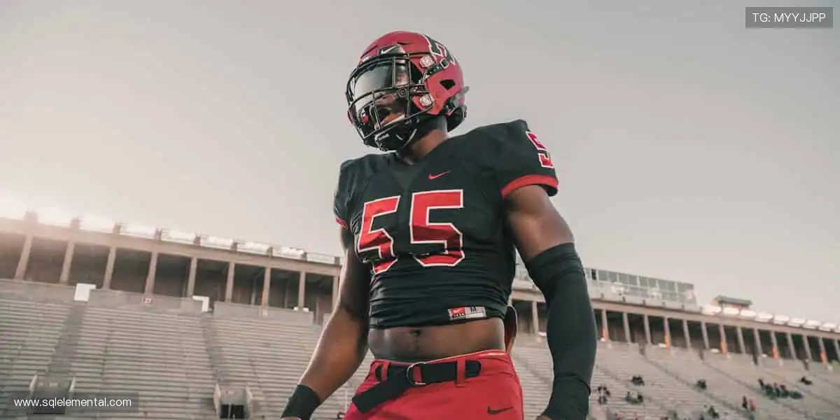 手机游戏首选平台:官方正版安全稳定,玩得放心更尽兴